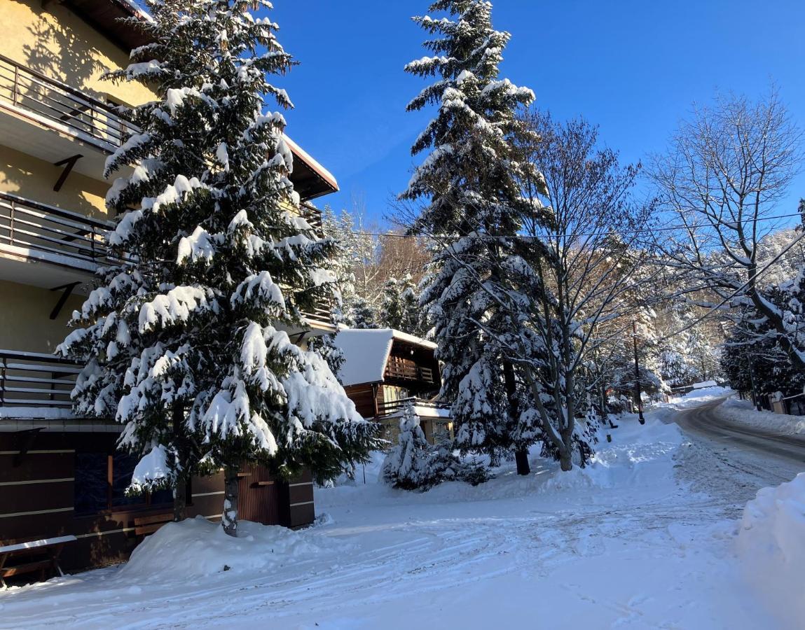 Niezapominajka Bed & Breakfast Szczyrk Luaran gambar