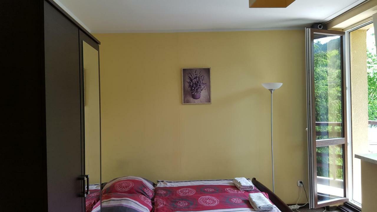 Niezapominajka Bed & Breakfast Szczyrk Luaran gambar