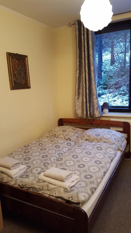 Niezapominajka Bed & Breakfast Szczyrk Luaran gambar