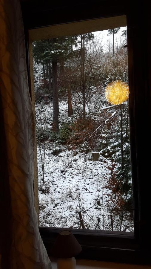 Niezapominajka Bed & Breakfast Szczyrk Luaran gambar